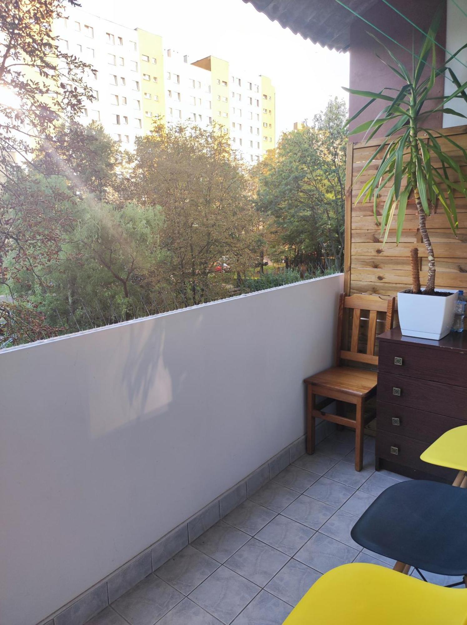 Apartament 88 كراكوفيا المظهر الخارجي الصورة