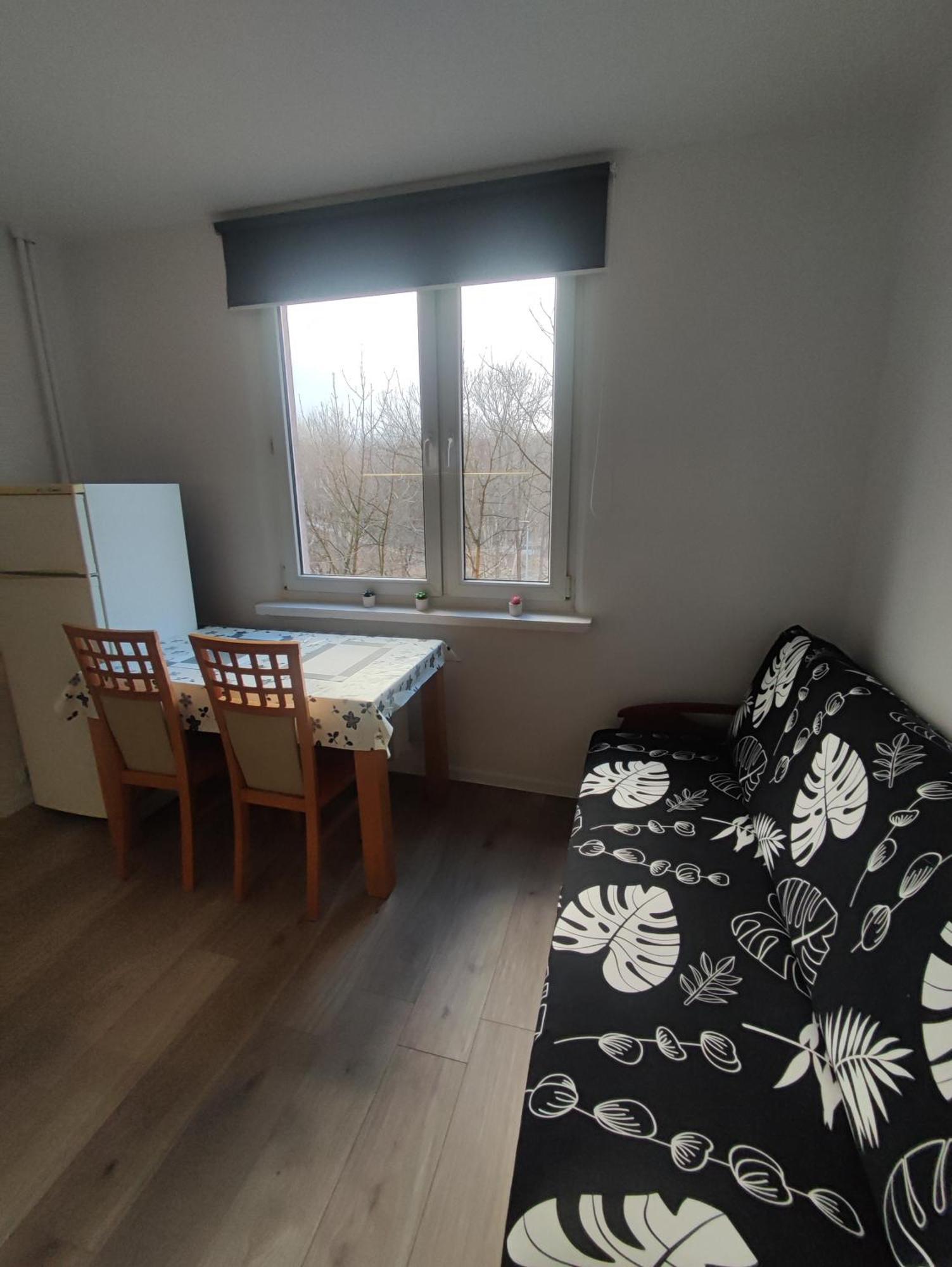 Apartament 88 كراكوفيا المظهر الخارجي الصورة